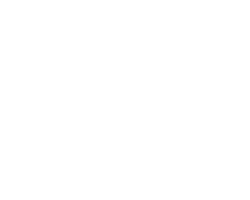 Grin and Tonic Logo